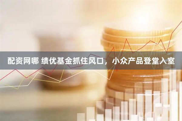 配资网哪 绩优基金抓住风口，小众产品登堂入室