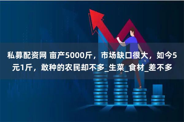 私募配资网 亩产5000斤，市场缺口很大，如今5元1斤，敢种的农民却不多_生菜_食材_差不多