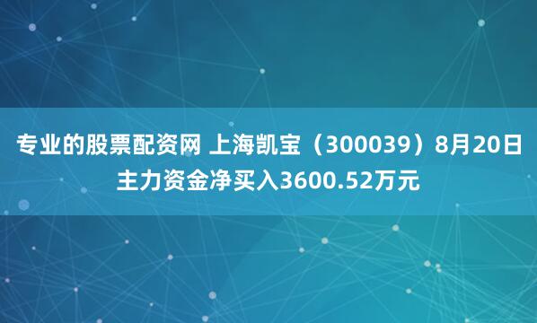 专业的股票配资网 上海凯宝（300039）8月20日主力资金净买入3600.52万元