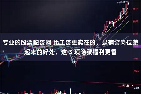 专业的股票配资网 比工资更实在的,是辅警岗位藏起来的好处,这 3 项隐藏福利更香